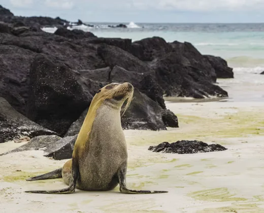 Galápagos, Ecuador