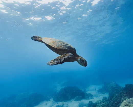 Tour Galápagos